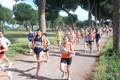 solmansirace_5914
