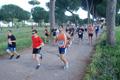 solmansirace_5928