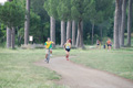 solmansirace_5946