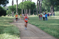 solmansirace_5967