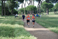 solmansirace_6030
