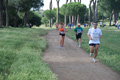 solmansirace_6050