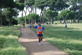 solmansirace_6097