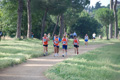 solmansirace_6197