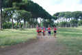 solmansirace_6208