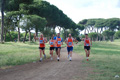 solmansirace_6212