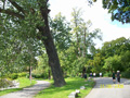 tjejmilen-293
