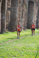 trofeo_2026