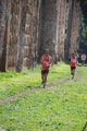trofeo_2048