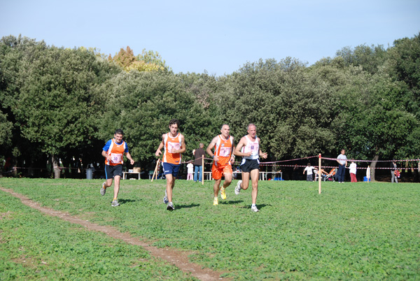 Trofeo Podistica Solidarietà (02/11/2008) trofeo_2128