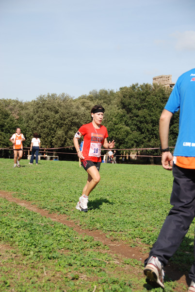 Trofeo Podistica Solidarietà (02/11/2008) trofeo_2268