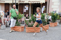 tagliacozzo_1757