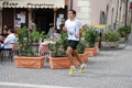 tagliacozzo_2014