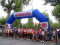 tagliacozzov__4477