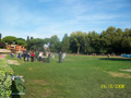 runforfood_1434