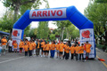 tagliacozzo_1320