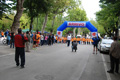 tagliacozzo_1334