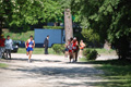 centoprovince_2639