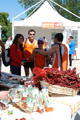 centoprovince_2831