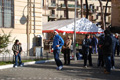 marcellina_6629