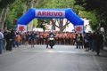 tagliacozzo_1478