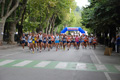 tagliacozzo_1485