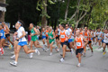 tagliacozzo_1492