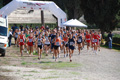 staffetta_roma_5671