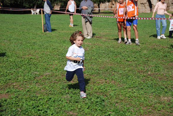 Trofeo Podistica Solidarietà (02/11/2008) trofeo_2616