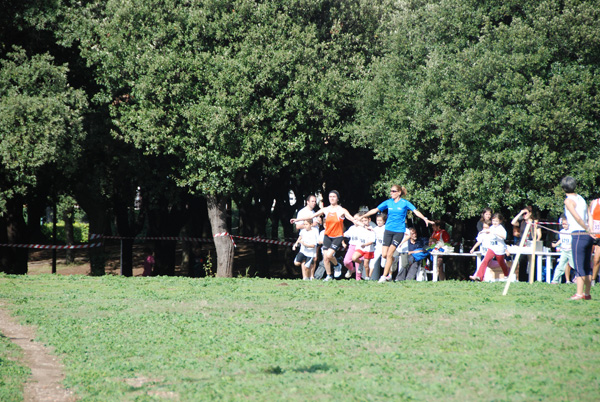 Trofeo Podistica Solidarietà (02/11/2008) trofeo_2629