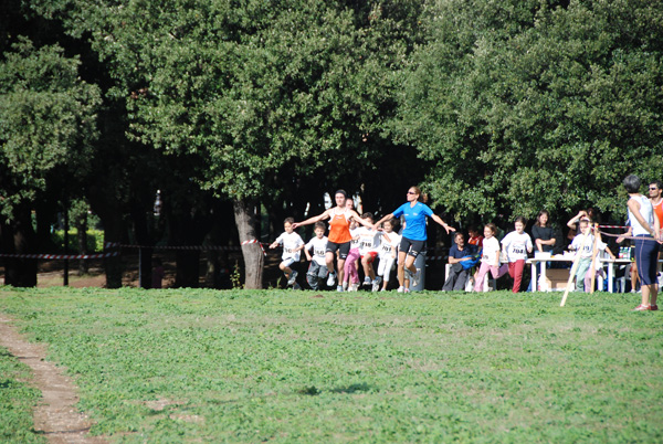 Trofeo Podistica Solidarietà (02/11/2008) trofeo_2630
