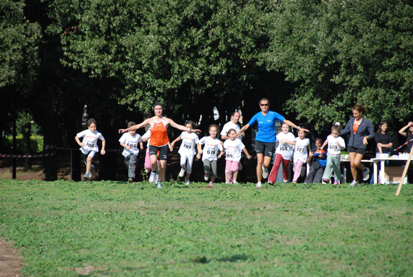 Trofeo Podistica Solidarietà (02/11/2008) trofeo_2631