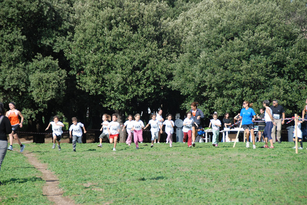 Trofeo Podistica Solidarietà (02/11/2008) trofeo_2636