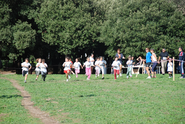 Trofeo Podistica Solidarietà (02/11/2008) trofeo_2638