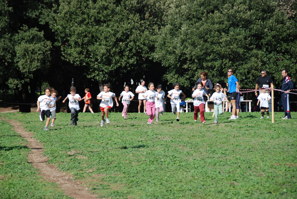 Trofeo Podistica Solidarietà (02/11/2008) trofeo_2641