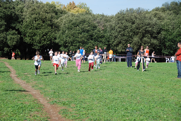 Trofeo Podistica Solidarietà (02/11/2008) trofeo_2646