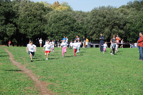 Trofeo Podistica Solidarietà (02/11/2008) trofeo_2647