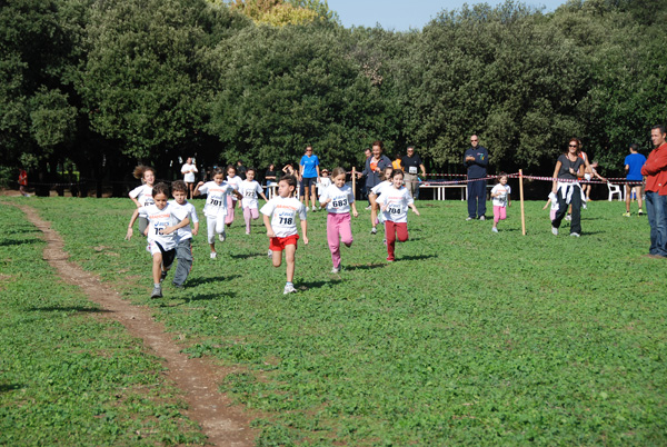 Trofeo Podistica Solidarietà (02/11/2008) trofeo_2650