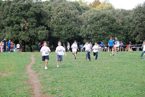 Trofeo Podistica Solidarietà (02/11/2008) trofeo_2698