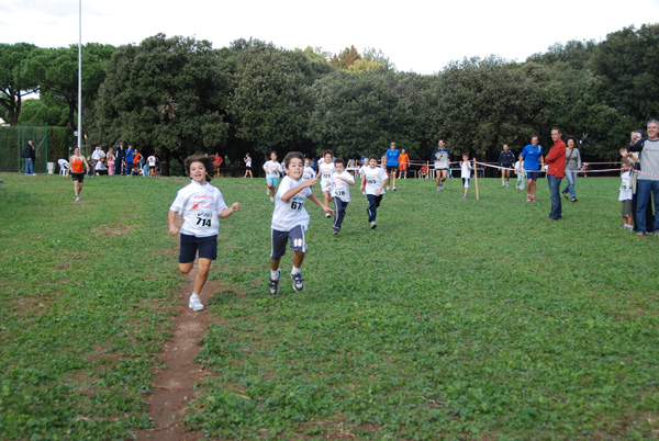 Trofeo Podistica Solidarietà (02/11/2008) trofeo_2701