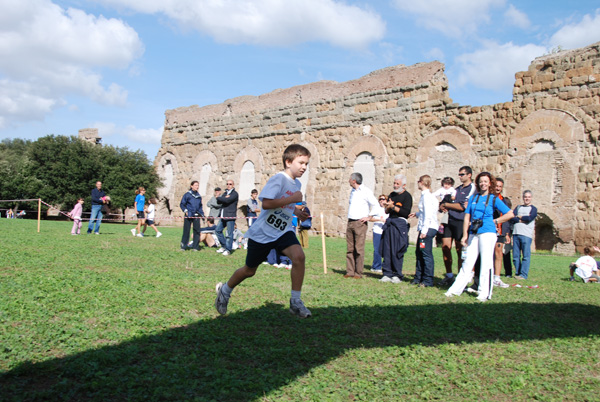 Trofeo Podistica Solidarietà (02/11/2008) trofeo_2763