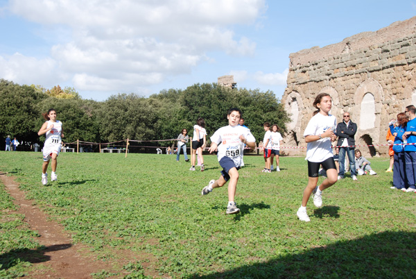 Trofeo Podistica Solidarietà (02/11/2008) trofeo_2768