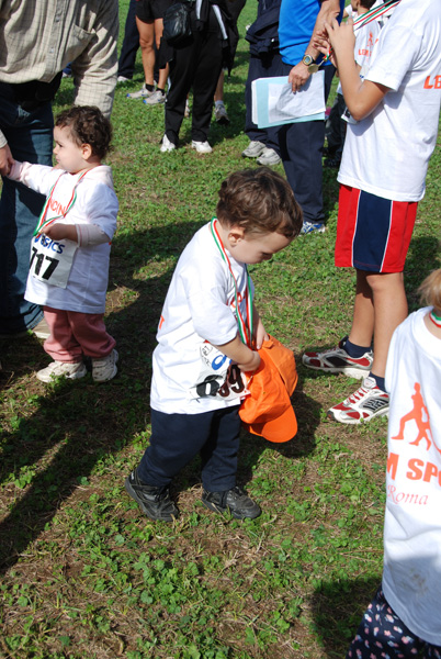 Trofeo Podistica Solidarietà (02/11/2008) trofeo_2852