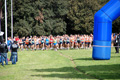 crossinterb_1376