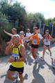 colonna_3104