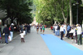 tagliacozzon_5313
