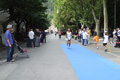 tagliacozzon_5352