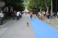 tagliacozzon_5385
