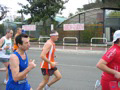 tarquini_8988