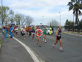 tarquini_8997